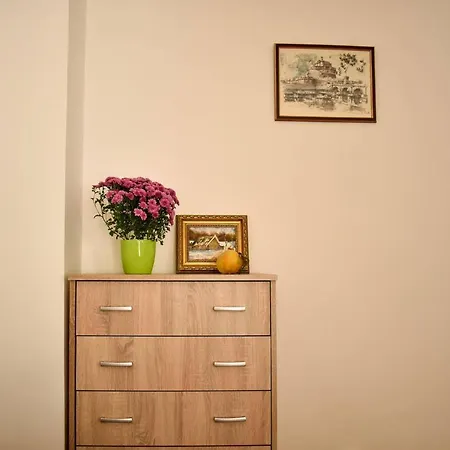 Sun-splashed Cozy Downtown Apartamento