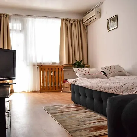 Sun-splashed Cozy Downtown Apartment *