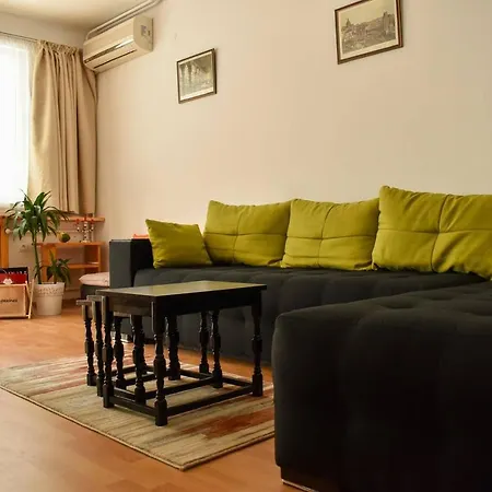 Sun-splashed Cozy Downtown Apartment *
