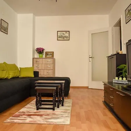 Sun-splashed Cozy Downtown Apartment